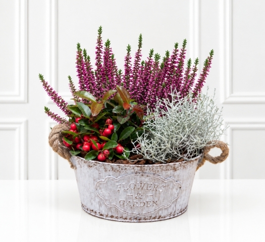 Winter Berry Planter