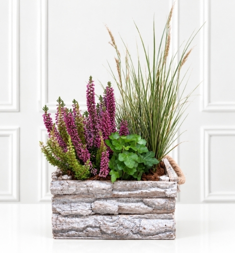 Rustic Planter